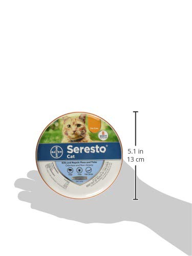 Bayer Animal Health Seresto Flea & Tick Collar for Cats, All Weights & Sizes, 8 Month Protection (3 Pack), Gray