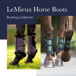 LeMieux Mesh Brushing Horse Boots - Protective Gear and Training Equipment - Equine Boots, Wraps & Accessories (Black - XLarge)