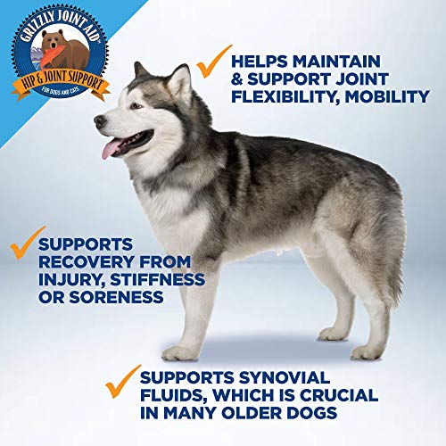 Grizzly Joint Aid for Dogs Liquid Hip and Joint Support (Extra Strength), 32 fl oz