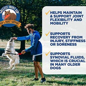 Grizzly Joint Aid for Dogs Liquid Hip and Joint Support (Extra Strength), 32 fl oz