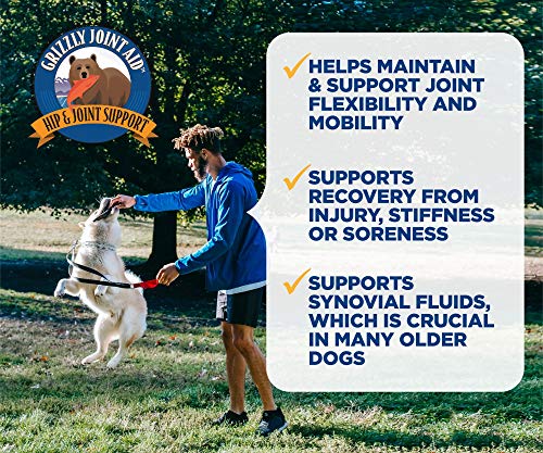 Grizzly Joint Aid for Dogs Liquid Hip and Joint Support (Extra Strength), 32 fl oz