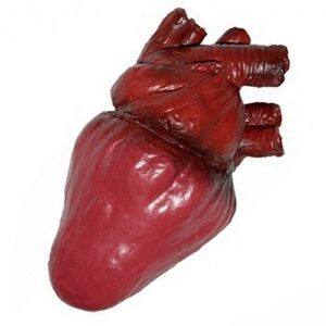 loftus international life size foam heart gory halloween prop