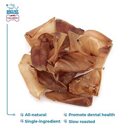 GigaBite Roasted Pig Ears for Dogs, Natural and Healthy Chews, Treats in Whole, Slices, or Sticks, Safe for Puppies and Aggressive Chewers, Clean Teeth and Gums - Pack of 100