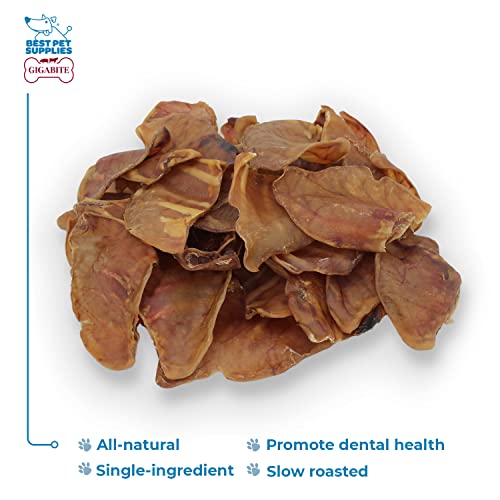 GigaBite Roasted Pig Ears for Dogs, Natural and Healthy Chews, Treats in Whole, Slices, or Sticks, Safe for Puppies and Aggressive Chewers, Clean Teeth and Gums - Pack of 100