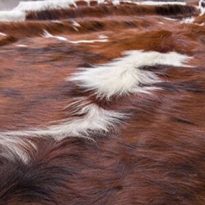 rodeo Genuine Tricolor Cowhide Rug Tricolor XXL