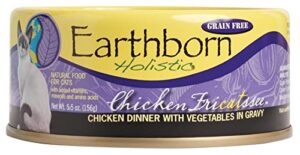 earthborn holistic chicken fricatssee grain-free moist cat food purple 24 count (pack of 1)