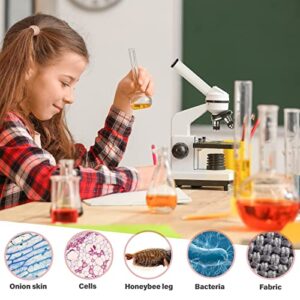 AmScope - M102C-PB10 40X-1000X Biological Compound Microscope with Prepared and Blank Slides for Student and Kids