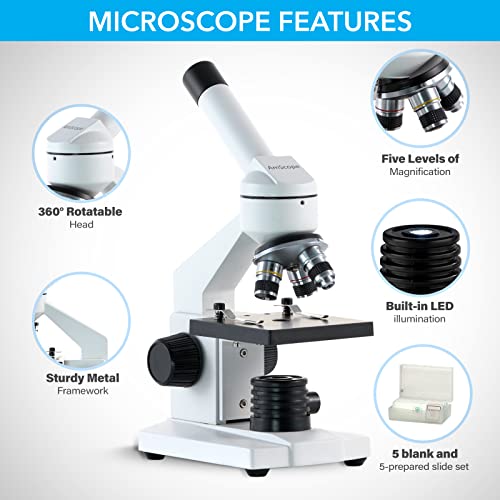 AmScope - M102C-PB10 40X-1000X Biological Compound Microscope with Prepared and Blank Slides for Student and Kids