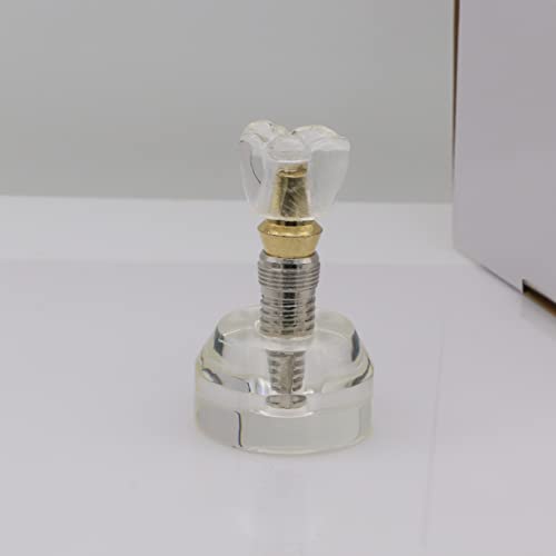 Dentalmall 1 Pc Dental Model #2020 01 - Clear Implant Model Dental Implant Demonstration Model Teeth Study Teach