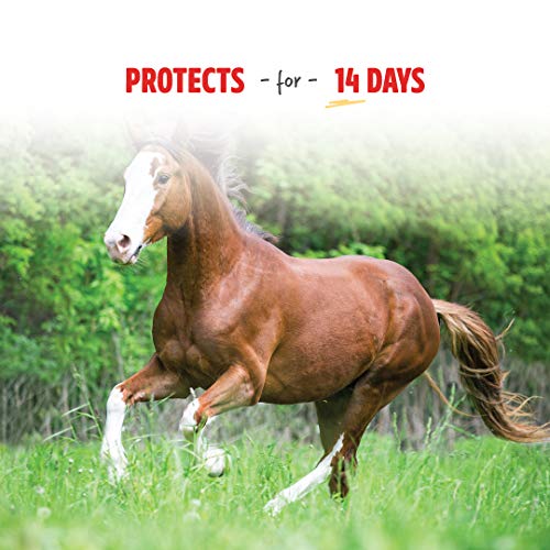Manna Pro Pro-Force Fly Spray | Rapid Knockdown Fly Repellent for Horses | Repels More Than 70 Listed Species for up to 14 Days | 32 oz