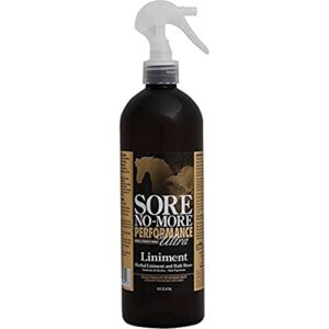 Arenus Sore No More Performance Ultra Liniment 16 oz