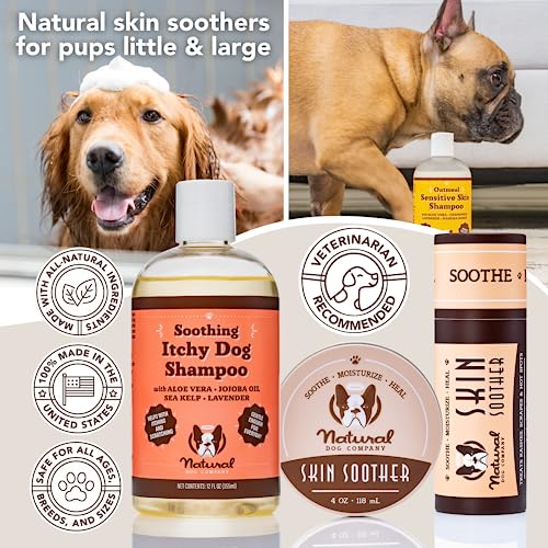 Natural [Dog] Company Oatmeal Sensitive Skin Shampoo, 12 oz., Dandruff Shampoo, Hypoallergenic, Plant Based Ingredients, Bathing Supplies, Itchy [Skin] relief for [Dog]s