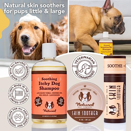 Natural Dog Company Itchy Dog Shampoo, 12 oz., Dog Dry Skin Treatment, Dog Itch Relief, Hypoallergenic, Plant Based Ingredients, Deodorizing Dog Shampoo, Relief from Skin Allergy Symptoms