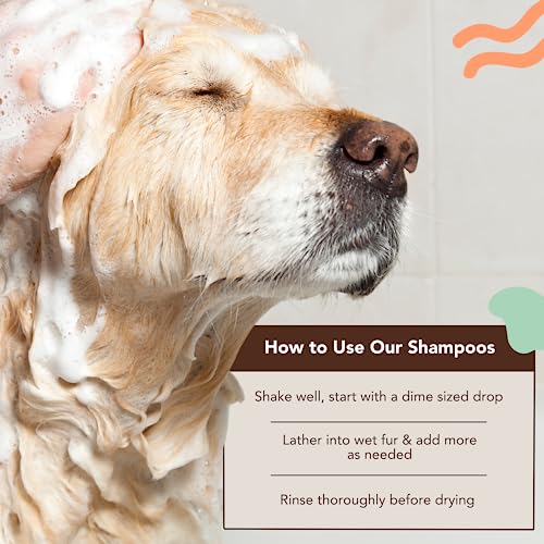 Natural Dog Company Itchy Dog Shampoo, 12 oz., Dog Dry Skin Treatment, Dog Itch Relief, Hypoallergenic, Plant Based Ingredients, Deodorizing Dog Shampoo, Relief from Skin Allergy Symptoms