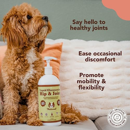 Natural Dog Company Liquid Glucosamine Hip & Joint Oil for Dogs (16 oz) Extra Strength Cartilage and Joint Support , Helps Mobility and Eases Occasional Stiffness, Dog Supplement for All Breeds and Ages, Senior Dog Supplements, Dog Vitamins and Supplement