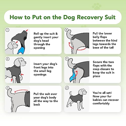 Recovery Suit for Dogs - Dog Surgery Recovery Suit with Clip-Up System - Breathable Fabric for Spay, Neuter, Skin Conditions, Incontinence - 55-69 cm Neck to Tail - Medium Dog Suit by Suitical, Black