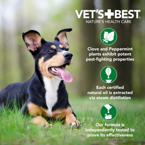 Vet's Best Flea and Tick Wipes for Dogs and Cats - Flea Treatment for Cats and Dogs - Plant-Based Formula - Certified Natural Oils - 50 Count