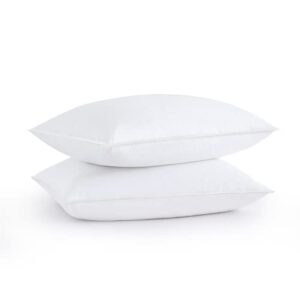 puredown natural white goose feather egyptian cotton cover 500 fill power set of 2 bed pillows, standard, 2 count