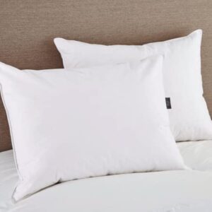 puredown Natural White Goose Feather Egyptian Cotton Cover 500 Fill Power Set of 2 Bed Pillows, Standard, 2 Count