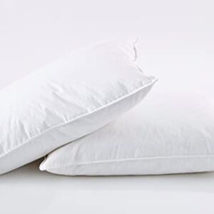 puredown Natural White Goose Feather Egyptian Cotton Cover 500 Fill Power Set of 2 Bed Pillows, Standard, 2 Count
