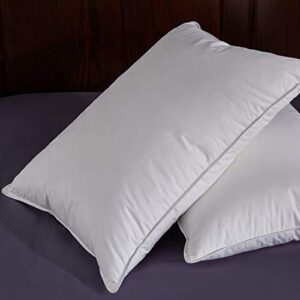 puredown Natural White Goose Feather Egyptian Cotton Cover 500 Fill Power Set of 2 Bed Pillows, Standard, 2 Count