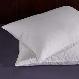 puredown Natural White Goose Feather Egyptian Cotton Cover 500 Fill Power Set of 2 Bed Pillows, Standard, 2 Count