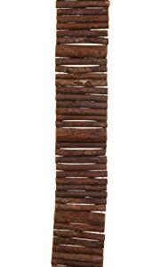 Prevue Pet Toy NAT Wonder Walk Bird Ladder, Large (62809),Brown