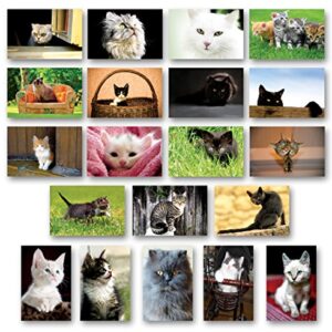 CATS and KITTENS Postcard Set of 20 Postcards. Cat and Kitten Post Card Variety Pack. Made in USA.