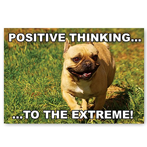 FUNNY ANIMALS postcard set of 20 postcards. Funny animal quotes post card variety pack. Made in USA.