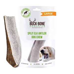 Buck Bone Organics Dog Chews, Elk Antlers for Dogs, Long Lasting Dog Bones for Aggressive Chewers, All Natural, No Preservatives, Wild Shed in The USA (Large)