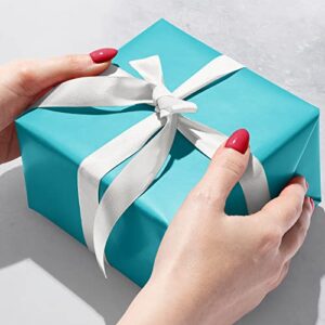 Jillson Roberts 6 Roll-Count Solid Color Gift Wrap Available in 20 Colors, Robin’s Egg Blue