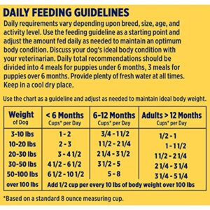 Nature′s Recipe Dry Puppy Food, Grain Free Puppy Chicken, Sweet Potato & Pumpkin Recipe, 4 lb. Bag