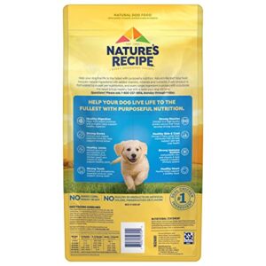 Nature′s Recipe Dry Puppy Food, Grain Free Puppy Chicken, Sweet Potato & Pumpkin Recipe, 4 lb. Bag