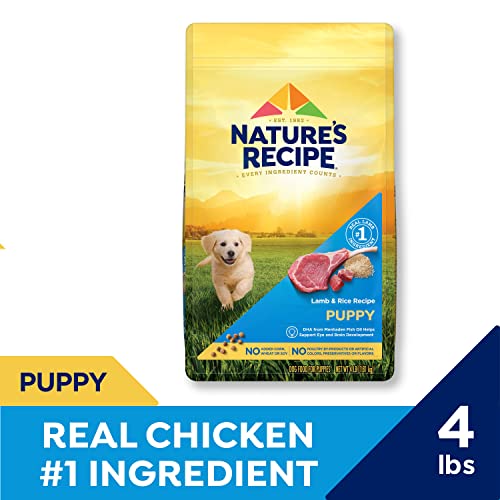 Nature′s Recipe Dry Puppy Food, Grain Free Puppy Chicken, Sweet Potato & Pumpkin Recipe, 4 lb. Bag