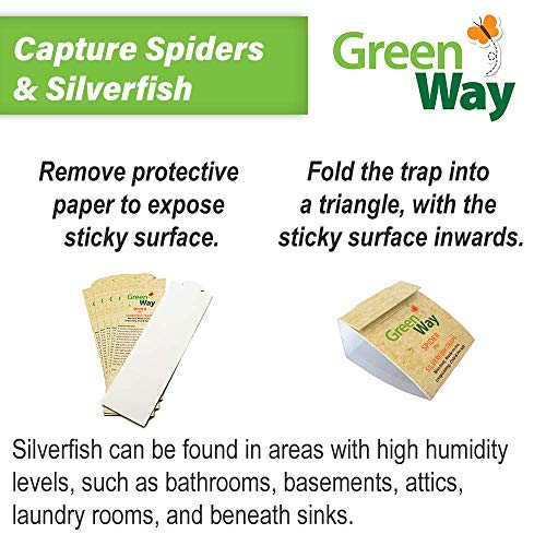 GreenWay Spider & Silverfish Trap - 6 prebaited Traps | Ready to Use Heavy Duty Glue, Safe, Non-Toxic with No Insecticides or Odor, Eco Friendly, Kid and Pet Safe