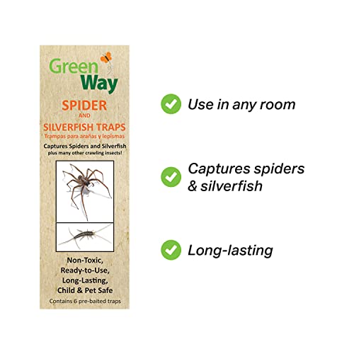 GreenWay Spider & Silverfish Trap - 6 prebaited Traps | Ready to Use Heavy Duty Glue, Safe, Non-Toxic with No Insecticides or Odor, Eco Friendly, Kid and Pet Safe