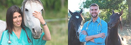 Horse Treats: A to Z Horse Cookies Original Flavor, A Softer Cookie Made with Lite Molasses, Low Carb, Low Sugar, Wheat, Corn, Soy and Alfalfa Free. Made With Organic, All Natural Human Grade Ingredients, May Be Used as a Horse Pill Popper, 4.5 lbs Box