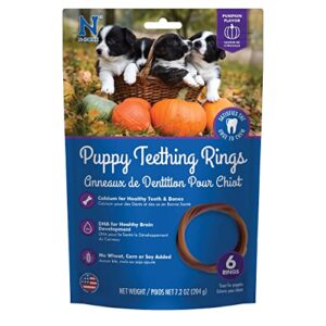 n-bone puppy teething ring pumpkin flavor 7.2 oz/(6 count)
