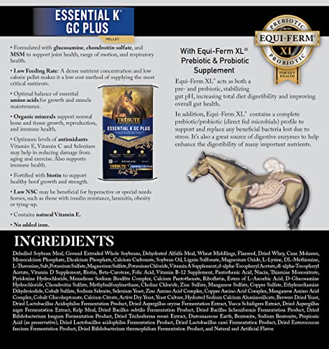 Tribute Essential K GC Plus for Horse, 50 lb