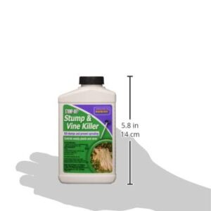 Bonide 2746 Stump & Vine Killer Concentrate, 8 oz Stumps and Vines Without harming Turf. Contains Brush Easy Application. Kills Oak, Poison Ivy and More, 1