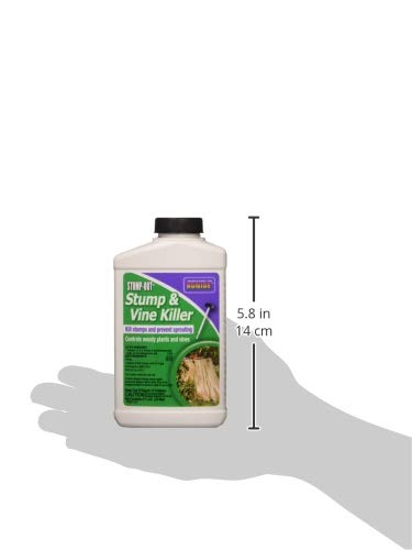 Bonide 2746 Stump & Vine Killer Concentrate, 8 oz Stumps and Vines Without harming Turf. Contains Brush Easy Application. Kills Oak, Poison Ivy and More, 1