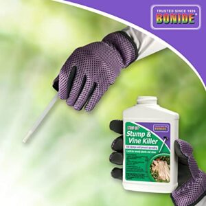 Bonide 2746 Stump & Vine Killer Concentrate, 8 oz Stumps and Vines Without harming Turf. Contains Brush Easy Application. Kills Oak, Poison Ivy and More, 1