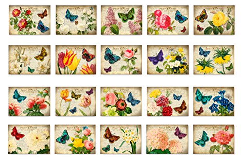 VICTORIAN FLOWERS postcard set of 20 postcards. Artistic flower in a vintage style post card variety pack. Made in USA.