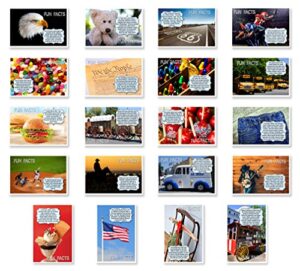 americana fun facts postcard set of 20 postcards. iconic america and american culture post card variety pack. made in usa.
