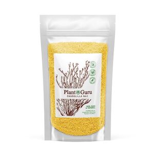 candelilla wax pellets 8 oz. 100% pure natual food grade vegan wax for dyi lip balm, soap and candle making, creams and lotions. great for skin, face, and hair applications. beeswax alternative