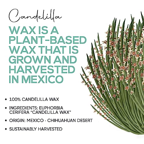 Candelilla Wax Pellets 8 oz. 100% Pure Natual Food Grade Vegan Wax For DYI Lip Balm, Soap and Candle Making, Creams and Lotions. Great For Skin, Face, and Hair applications. Beeswax Alternative