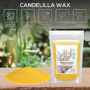 Candelilla Wax Pellets 8 oz. 100% Pure Natual Food Grade Vegan Wax For DYI Lip Balm, Soap and Candle Making, Creams and Lotions. Great For Skin, Face, and Hair applications. Beeswax Alternative