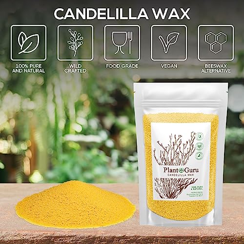 Candelilla Wax Pellets 8 oz. 100% Pure Natual Food Grade Vegan Wax For DYI Lip Balm, Soap and Candle Making, Creams and Lotions. Great For Skin, Face, and Hair applications. Beeswax Alternative