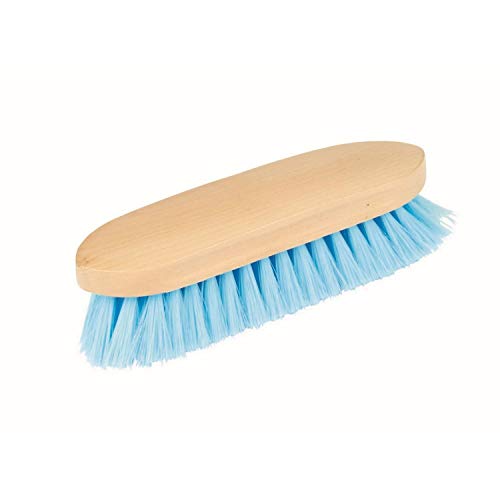 Roma Brights Dandy Brush Aqua