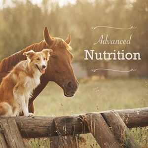 Animal Health Solutions - Equerry's Large Animal Probiotic, Digestive Aid Helping to Improve Energy and Vigor (5 pounds)